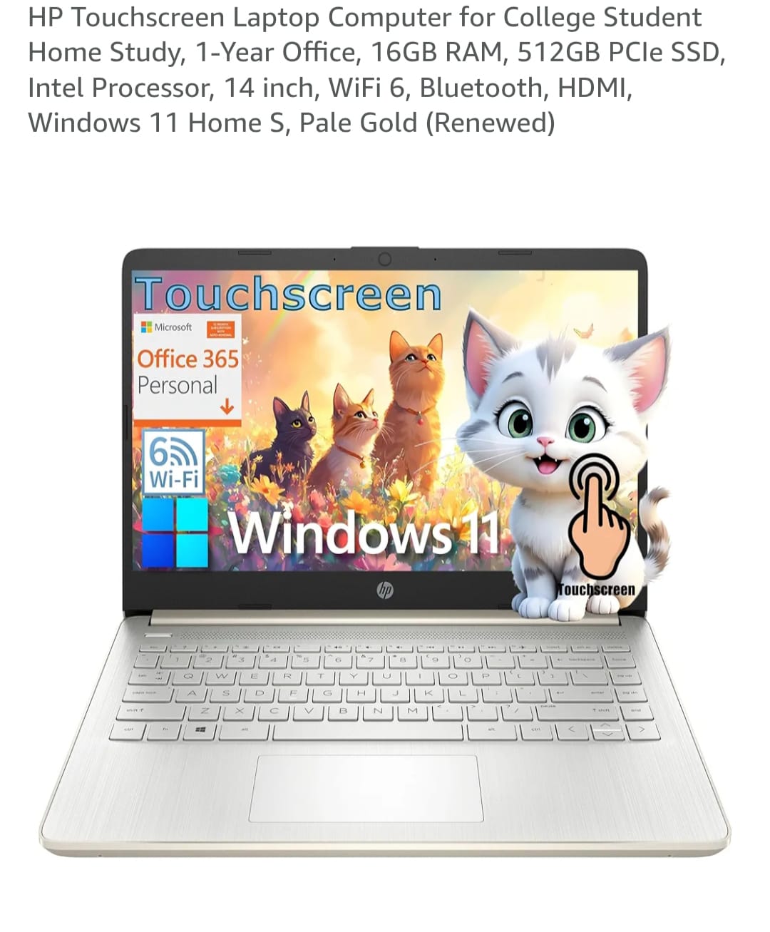 Laptop HP windows 11